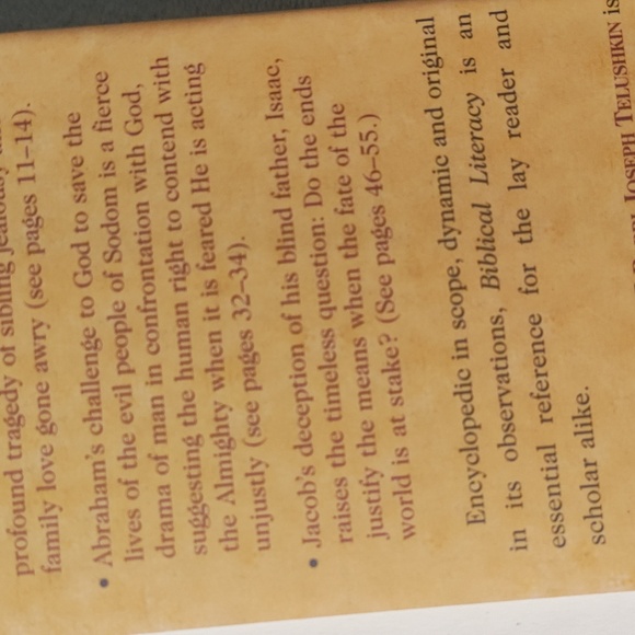 Biblical Literacy by Rabbi Joseph Telushkin - Picture 11 of 12